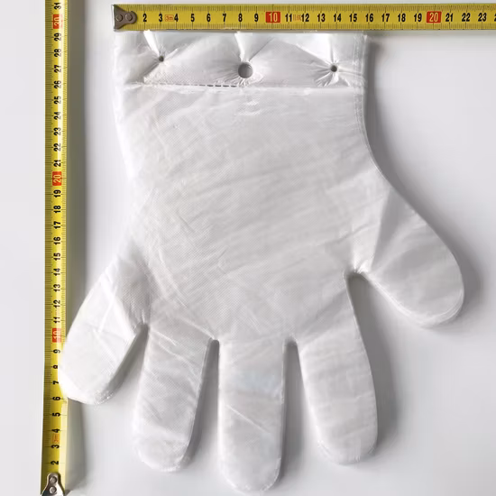PVC Gloves 100PCS Bag Catering Takeaway Clear Thickened